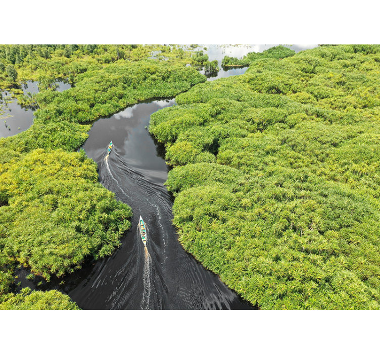 Festői folyami utazás Táj falfestmények - TenStickers