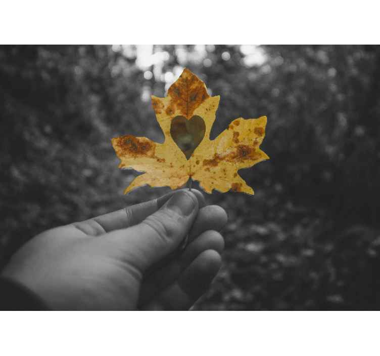 Szív alakú levél Természeti falikárpitok - TenStickers