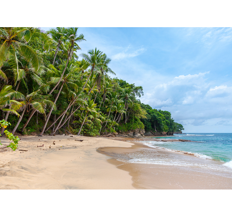 Trópusi tengerparti oázis természeti falikárpitok - TenStickers