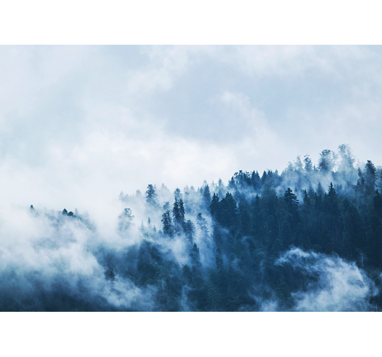 Ködös erdei táj természeti falikárpitok - TenStickers