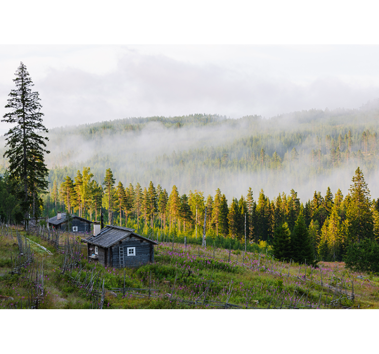 Köd borította erdő Táj falfestmények - TenStickers