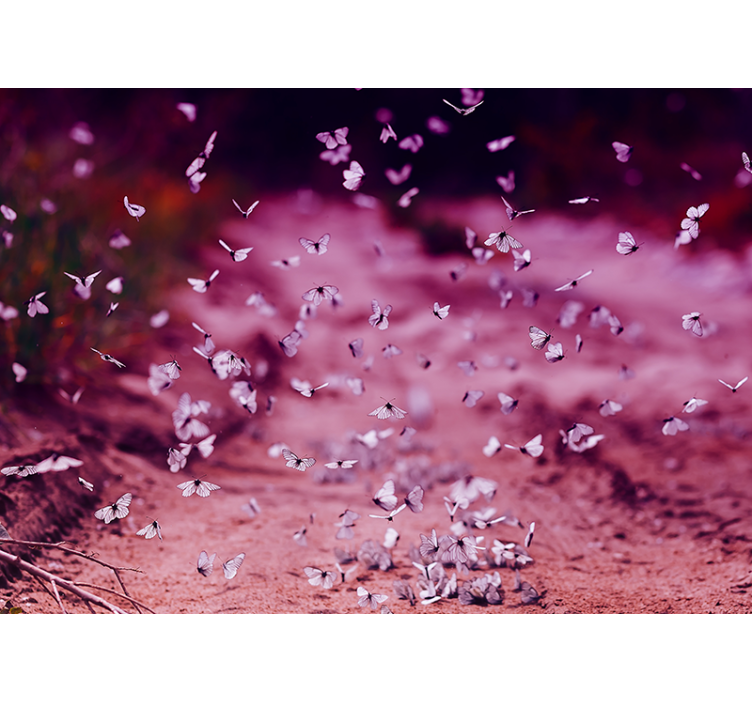 Finom pillangótánc Virág falfestmények - TenStickers