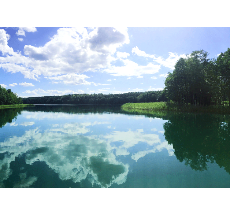 Derűs elmélkedés Tó falfestményei - TenStickers