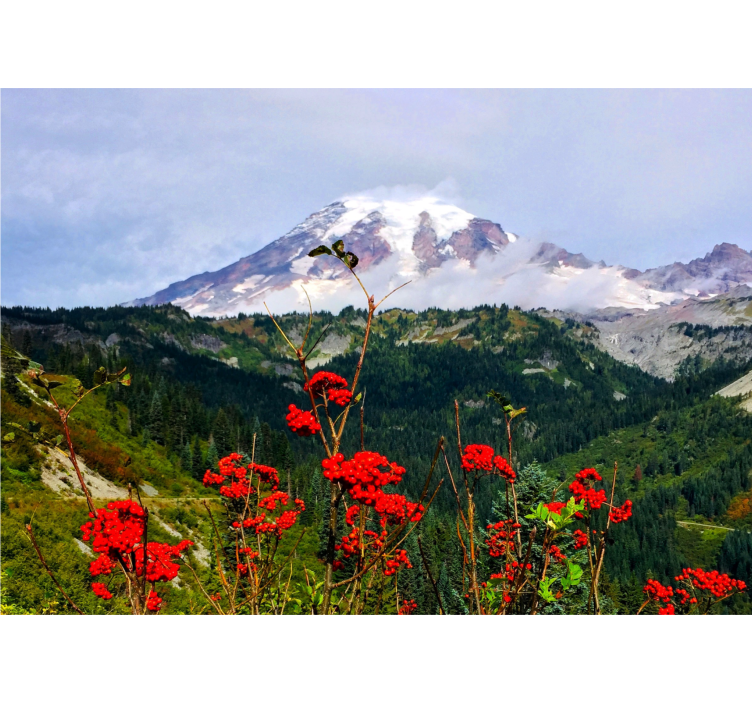Havas csúcsú hegyek táj falfestmények - TenStickers
