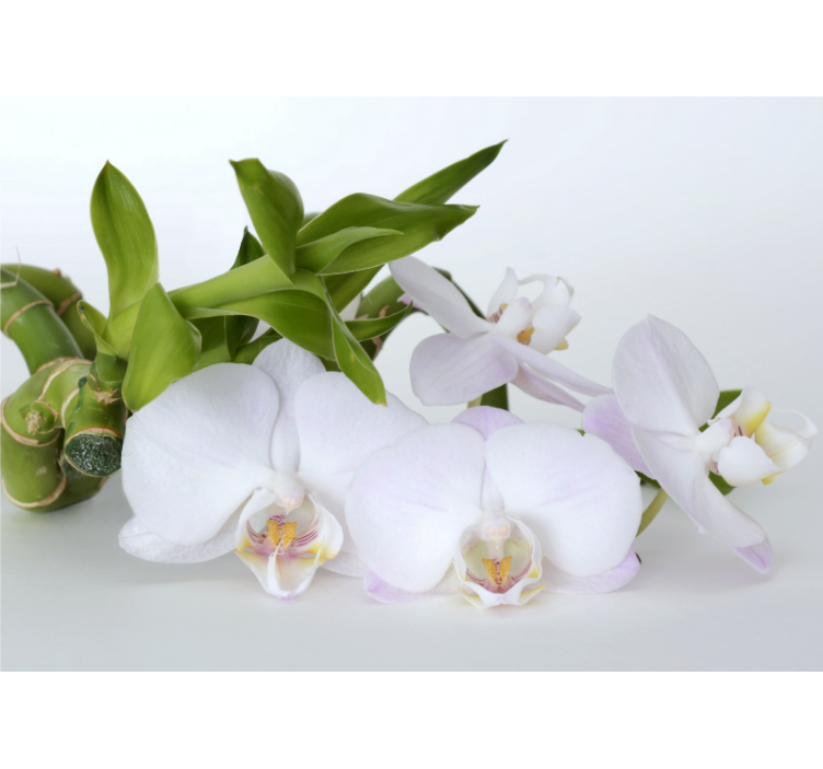 Elegáns orchidea kompozíció falfestmény - TenStickers