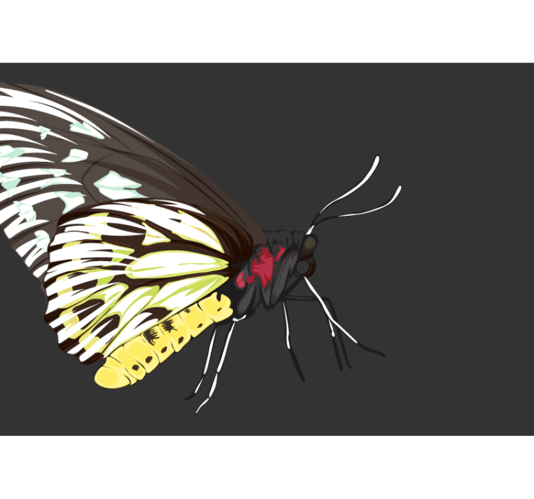 Sárga pillangó design Más fototapéta - TenStickers