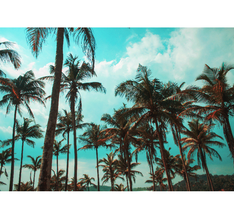 Pálmafák paradicsoma természeti falikárpitok - TenStickers