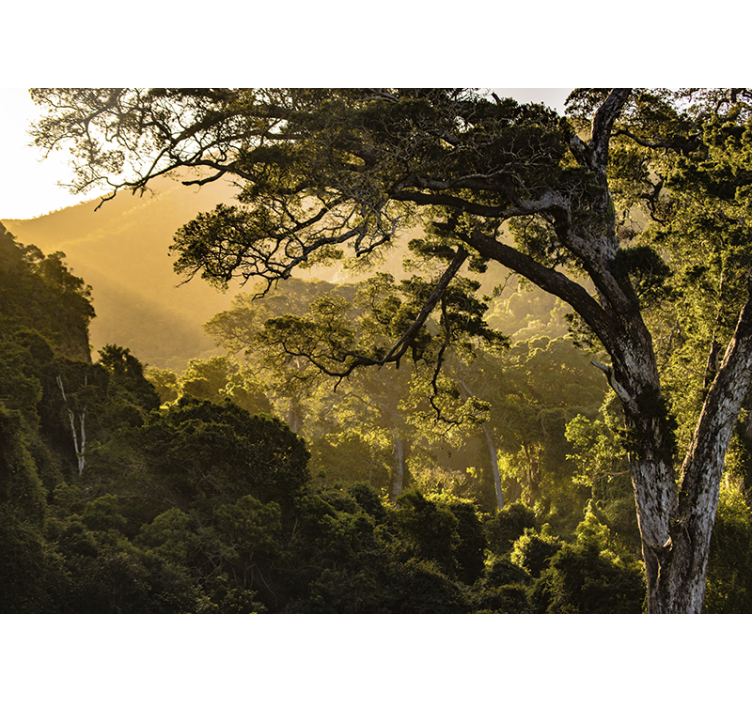 Zöldellő erdő táj - természeti falikárpitok - TenStickers