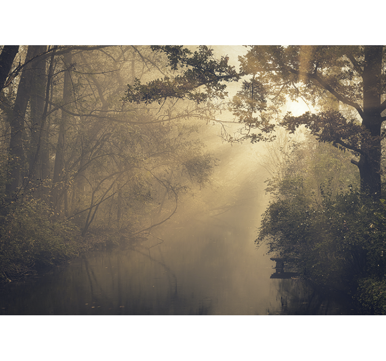 Fénylő erdei táj természeti falikárpitok - TenStickers