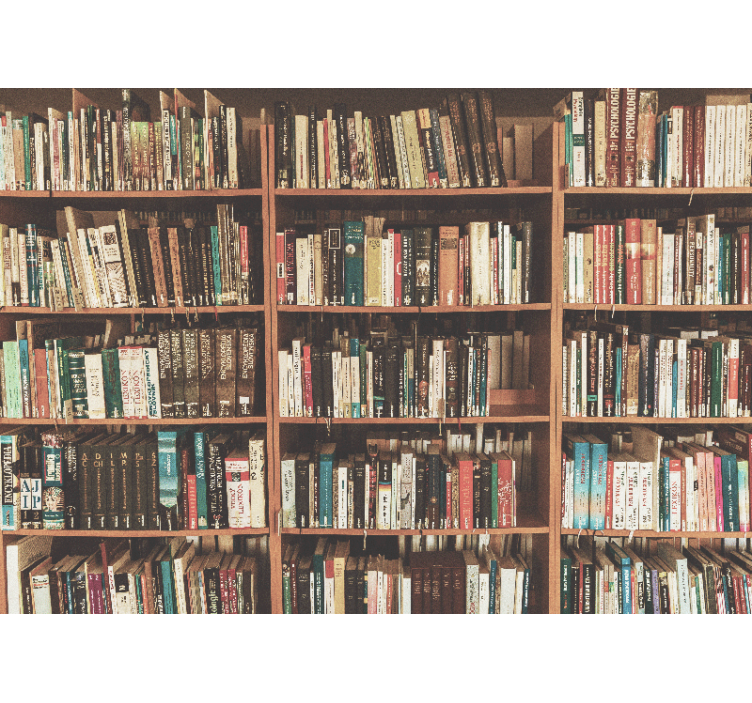 Művészeti falfestmények - irodalmi könyvespolc - TenStickers