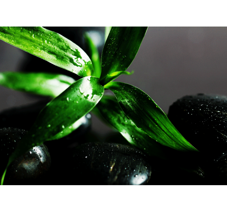 Friss levél textúra természeti falikárpitok - TenStickers