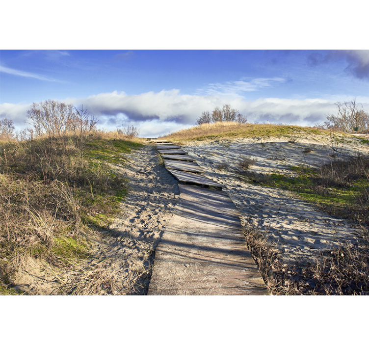 Fából készült ösvény táj falfestmények - TenStickers