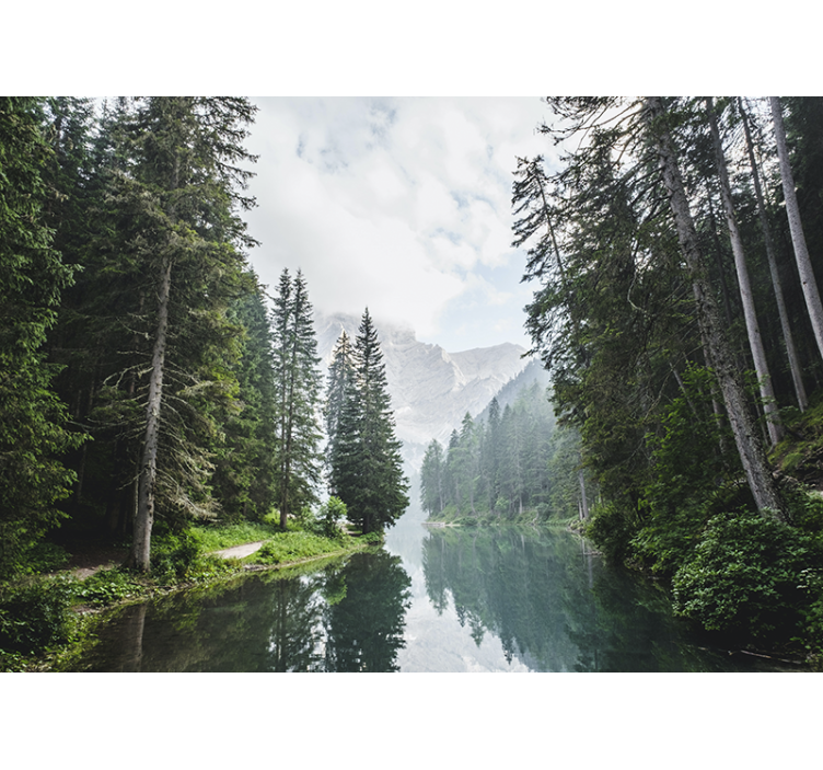 Nyugodt erdő visszhang táj falfestmények - TenStickers