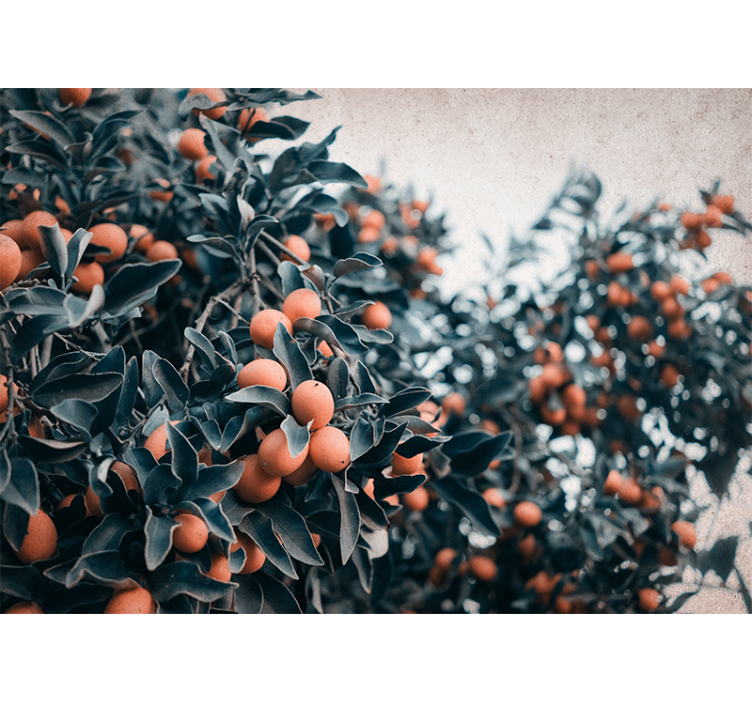 Citrus gyümölcság virág falfestmények - TenStickers