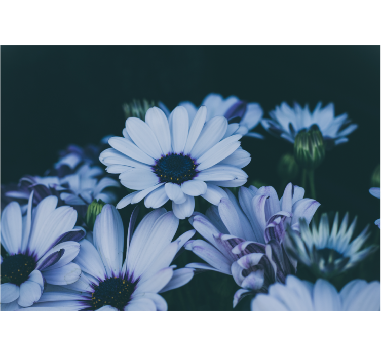 Nyugodt virágkompozíciók falfestmények - TenStickers