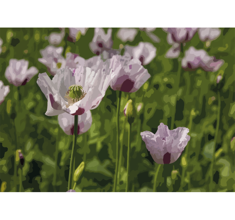 Virágos elegancia mák falfestmények - TenStickers