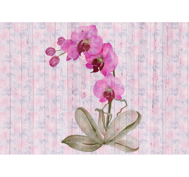 Rózsaszín orchidea virág falfestmények - TenStickers