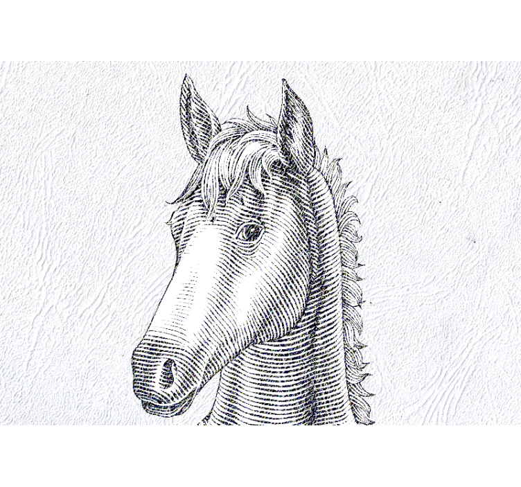 Elegáns lóportré Állati falfestmények - TenStickers