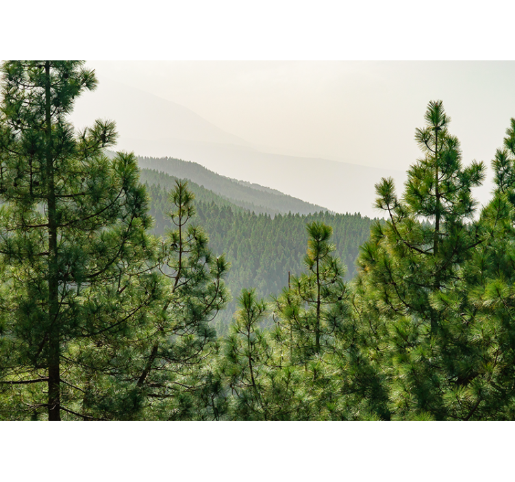 Bőséges zöld táj természeti falikárpitok - TenStickers