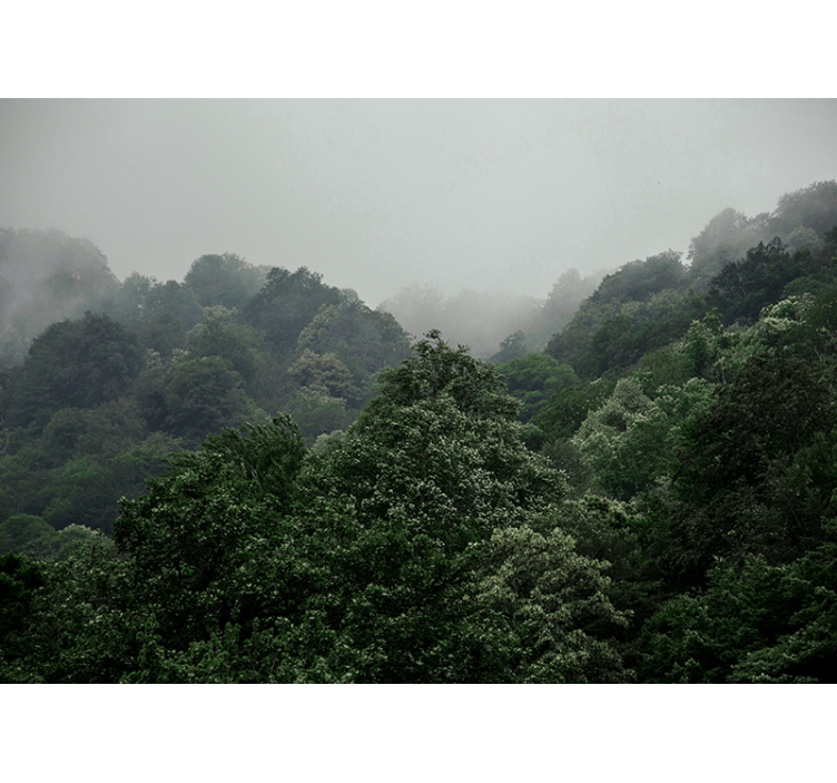 Ködös táj Erdei festmények - TenStickers