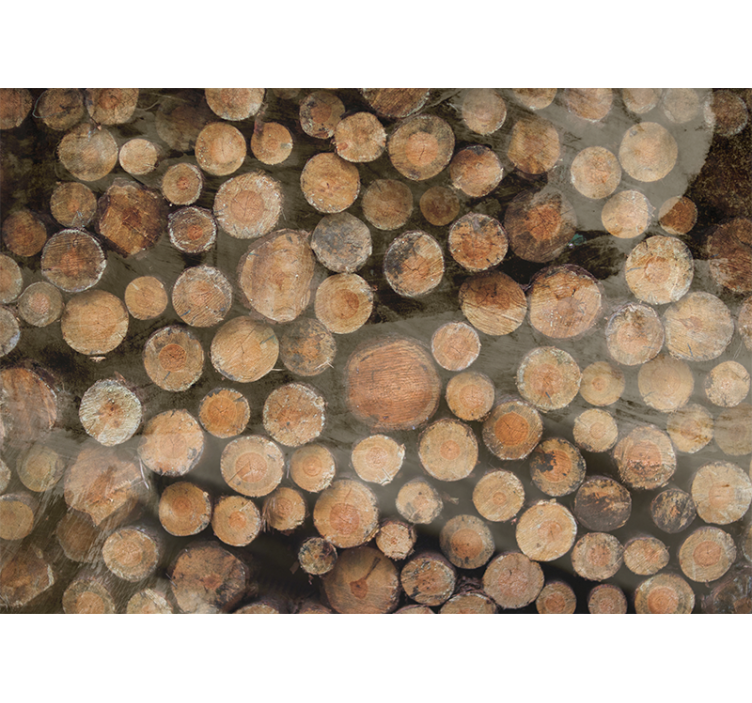 Fakérges elrendezés - egyéb textúra és minta falfestmények - TenStickers