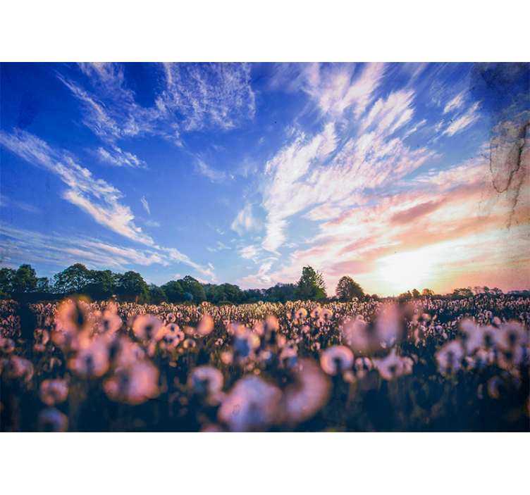 Pitypangmező nyugalma virág falfestmények - TenStickers