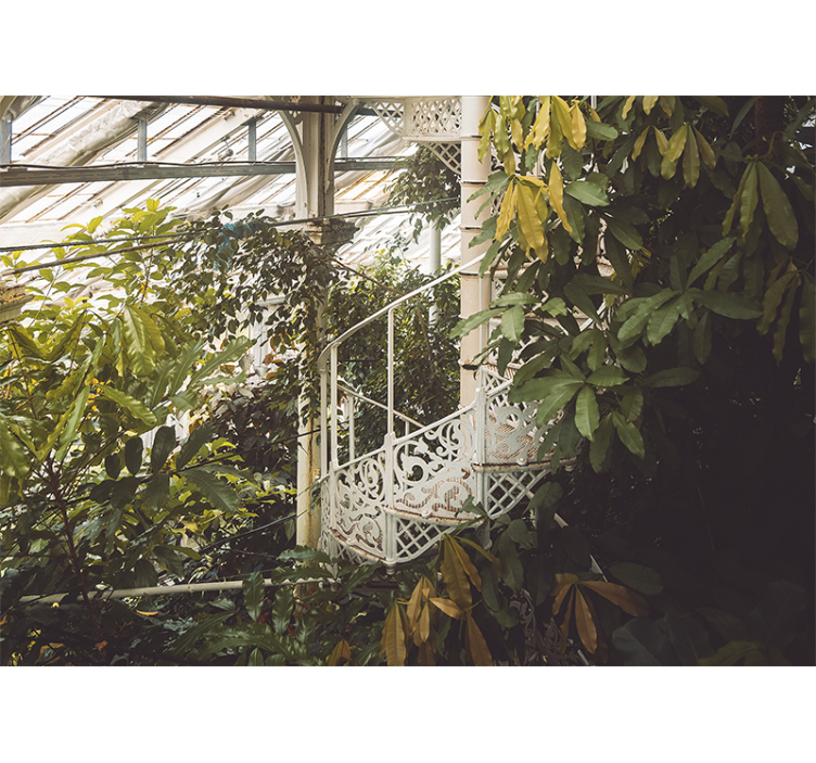 Bő zöld oázis természeti falikárpitok - TenStickers