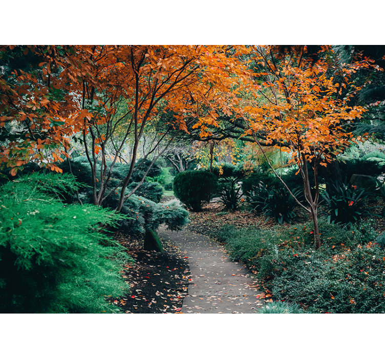 Fák közötti ösvény - természeti falikárpitok - TenStickers