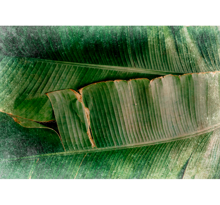 Vibráló lombkoronák természeti falikárpitok - TenStickers