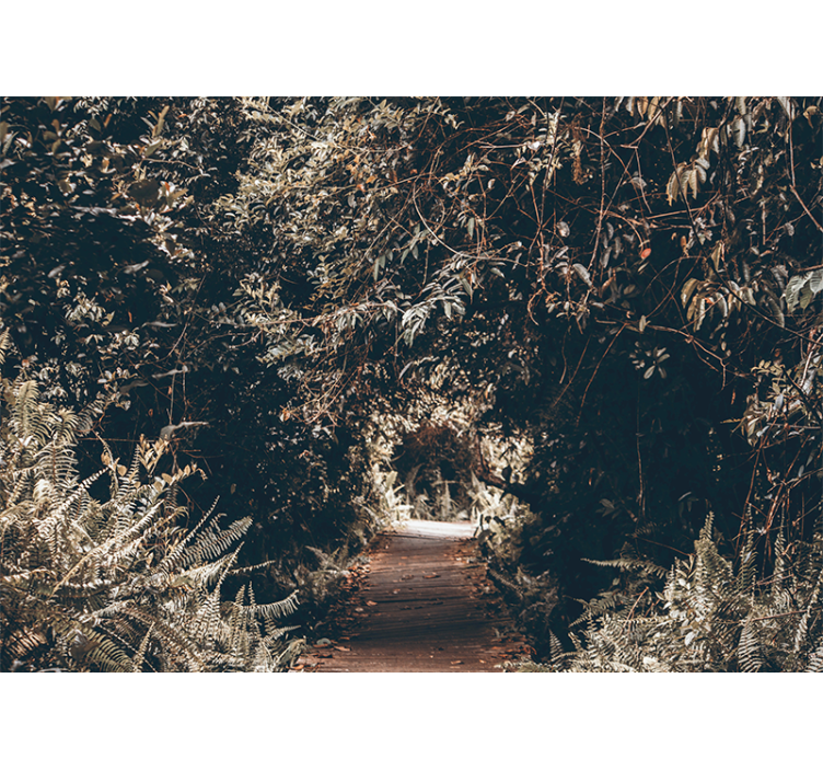 Erdei ösvény falikárpitok - TenStickers