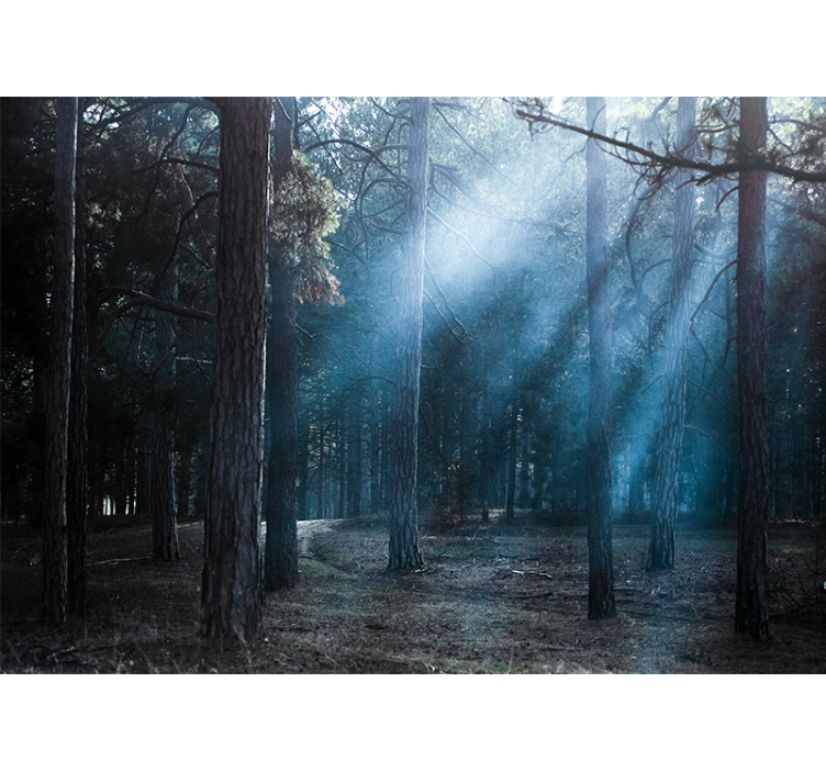 Ködös ködös út Erdei festmények - TenStickers