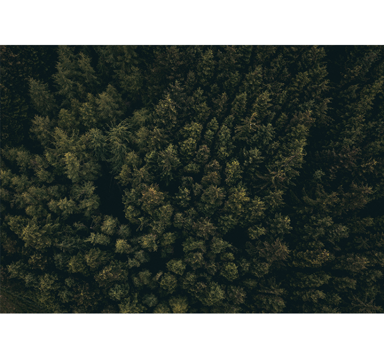 Bőséges zöld foliázs természeti falikárpitok - TenStickers