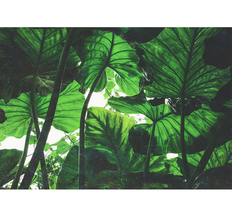 Bőséges levél lombkorona természeti falikárpitok - TenStickers