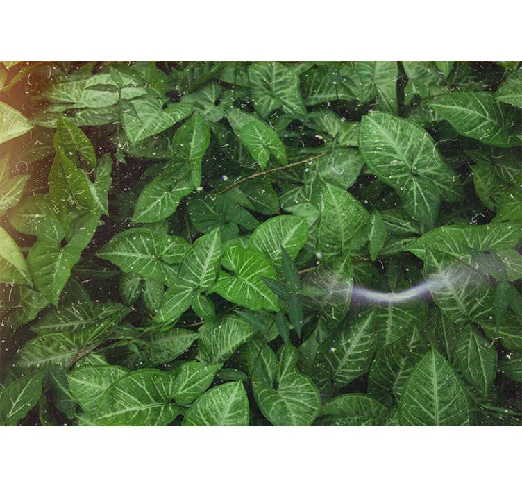 Élénk levélkompozíció természeti falikárpitok - TenStickers