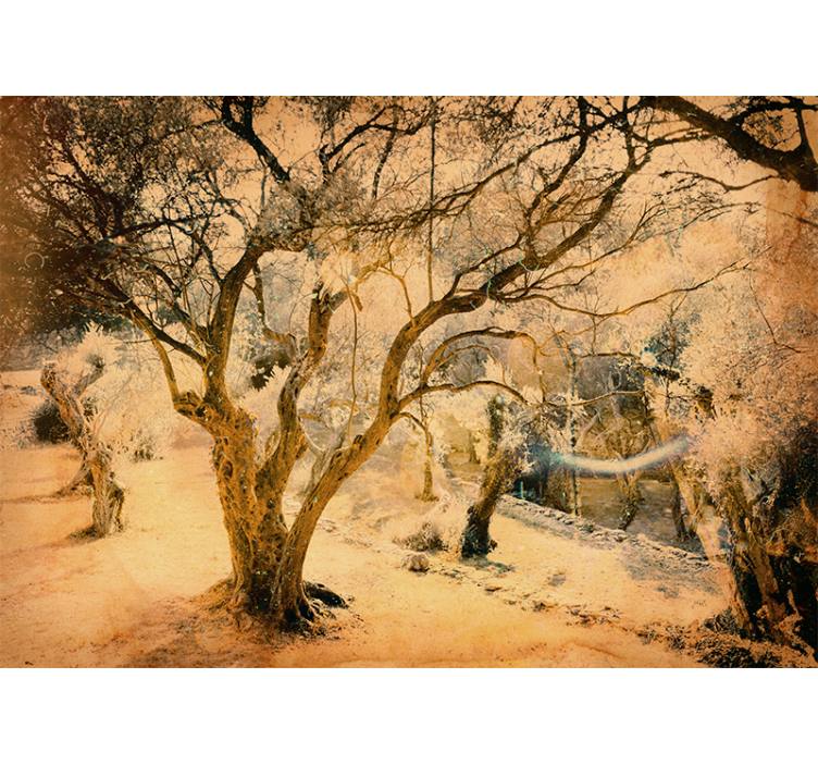 Olajfa részletes falfestmény - TenStickers