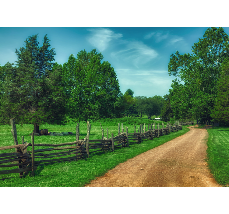 Vibráló zöld Ösvény táj falfestmények - TenStickers