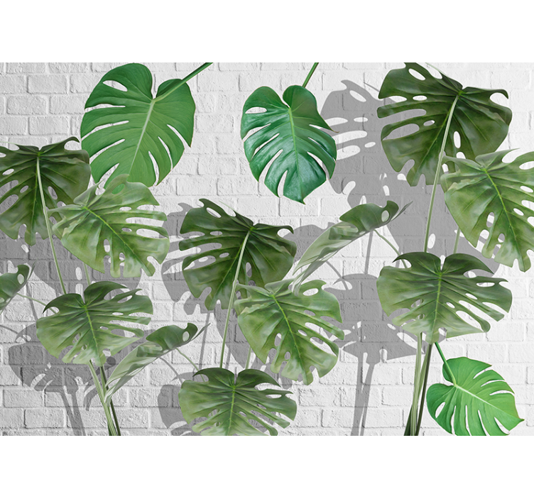 Monstera levél elrendezés természetes falikárpitok - TenStickers