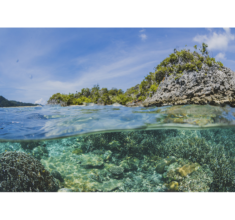 Víz alatti tengeri táj Táj fototapéta - TenStickers