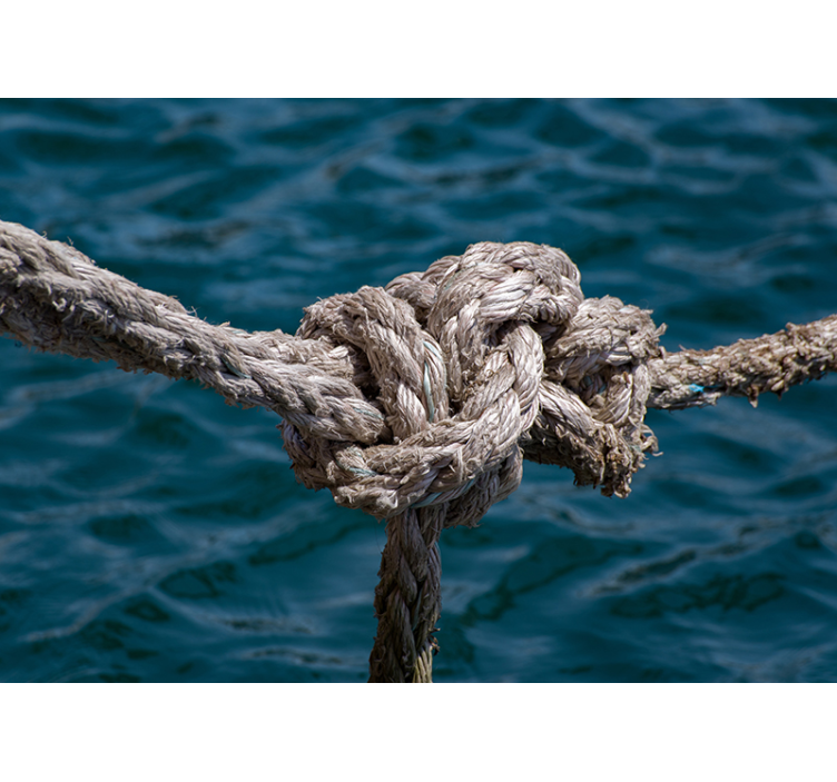 Tengeri csomó erőssége Tengeri Falikárpit - TenStickers