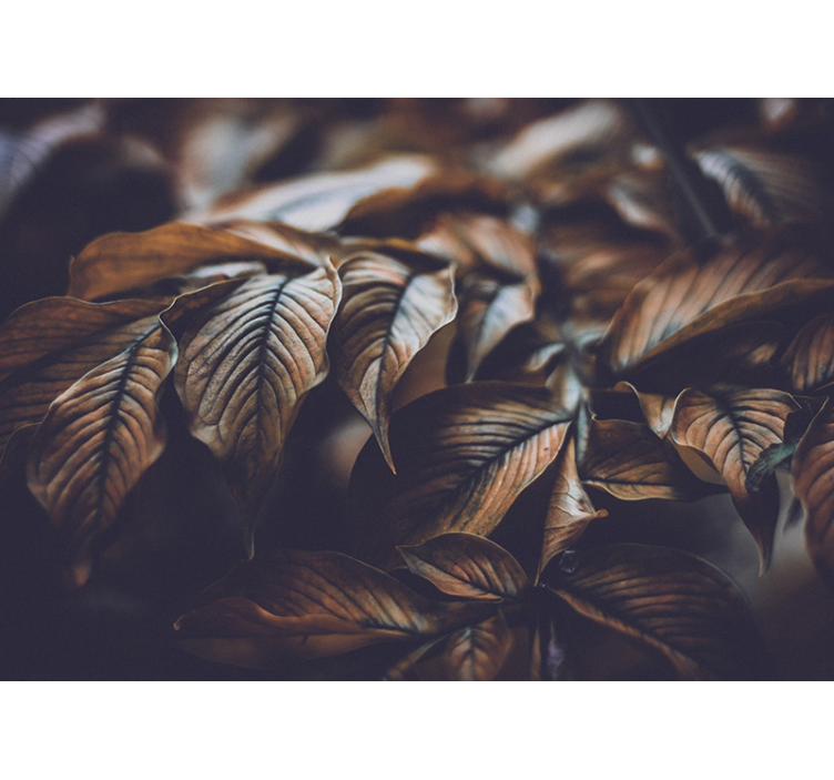 Arany levelek természet falfestmény - TenStickers