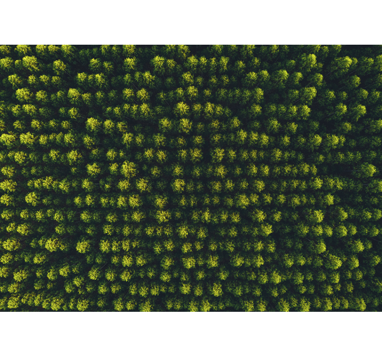 Zöldellő lombkorona természeti falikárpitok - TenStickers