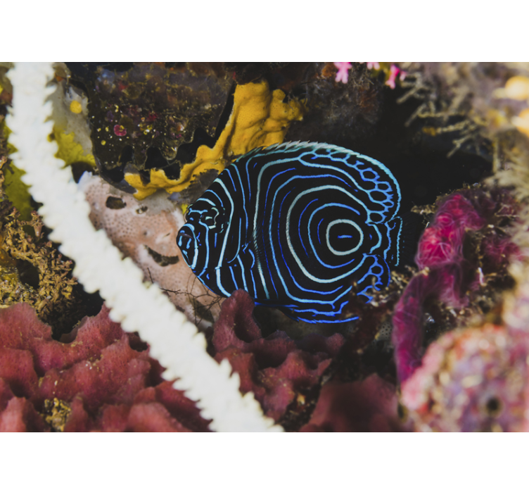 Kék hal minták Állati falfestmények - TenStickers