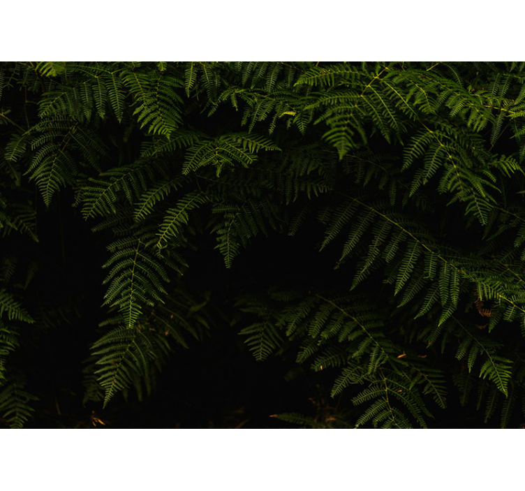 Páfrány levél fa falfestmény - TenStickers