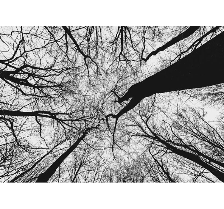 Fák falfestmények - Összefonódó Ágak siluettjei - TenStickers