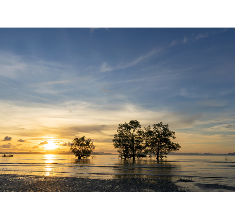 Derűs naplemente Táj fototapéta - TenStickers