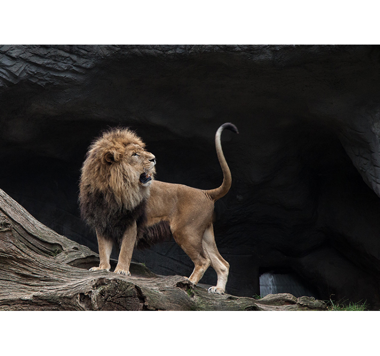 Oroszlánok végtelen folyosó 3d falfestmény - TenStickers