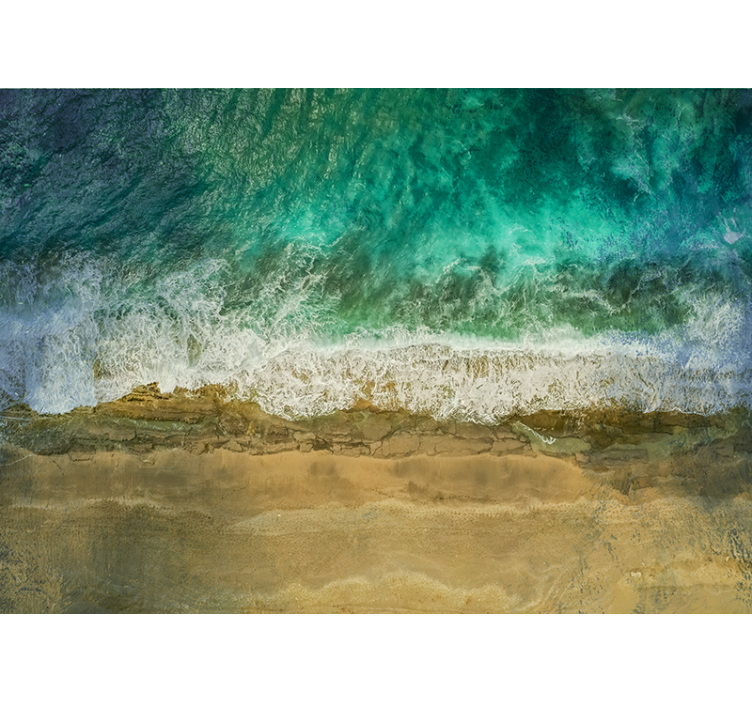 Tengerparti növények bemutatása - természeti falikárpitok - TenStickers