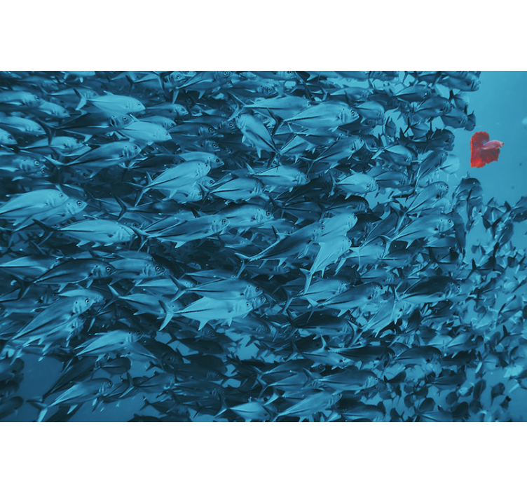 Fal fotó hal az óceánban 3d matrica - TenStickers