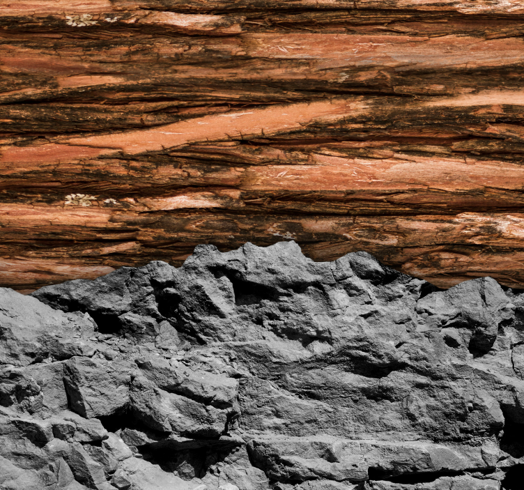 Nappali fototapéta fa és kő - TenStickers