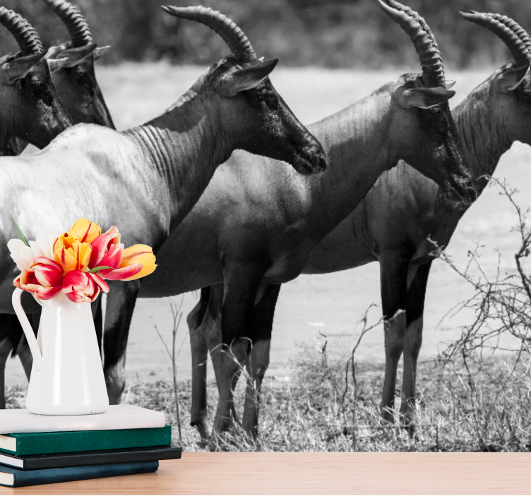 Afrikai antilop csorda Állati falfestmények - TenStickers